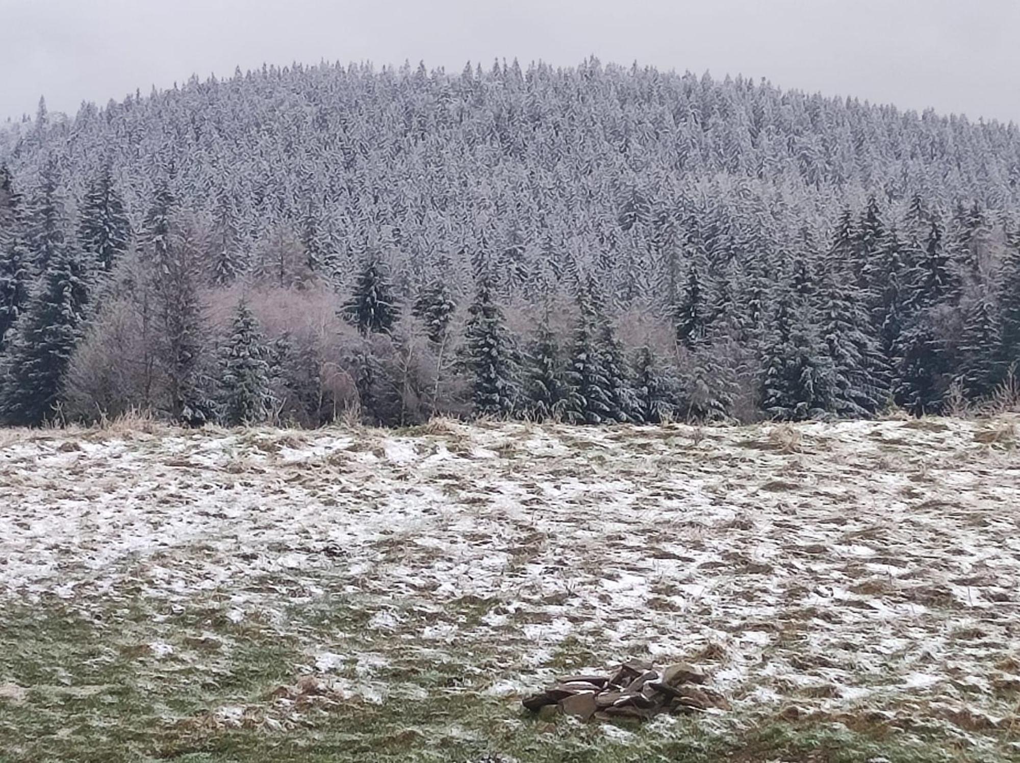 Drewniany Domek Daria I Tomek 2 Domki Na 8 Osob Stronie Śląskie Extérieur photo